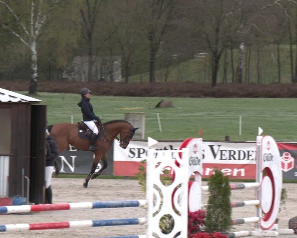 Reitturnier Westergellersen 2025