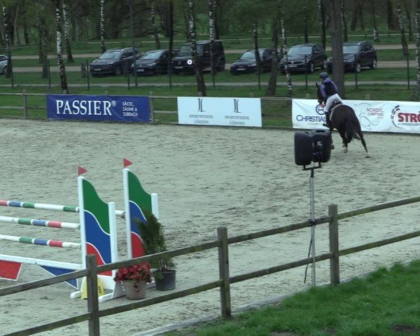 Reitturnier Westergellersen 2025