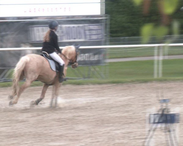 Reitturnier Margarethen am Moos 2025