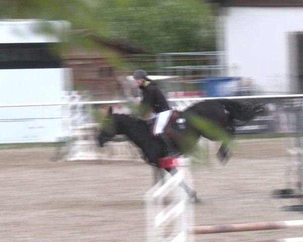 Reitturnier Margarethen am Moos 2025