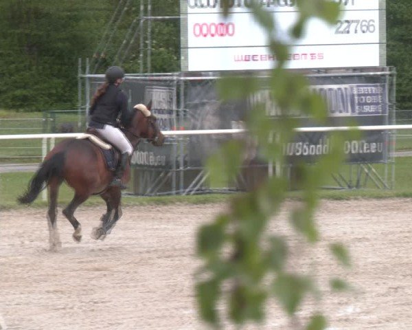 Reitturnier Margarethen am Moos 2025