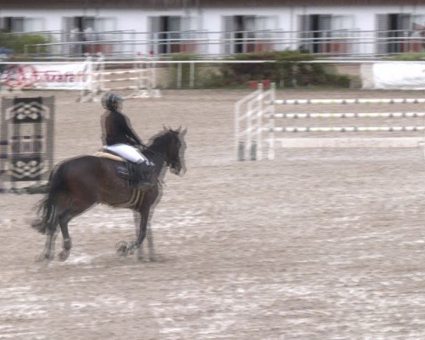 Reitturnier Margarethen am Moos 2025