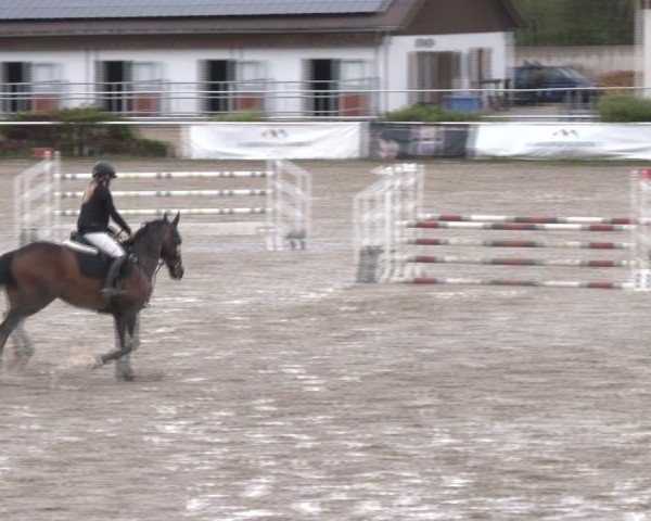 Reitturnier Margarethen am Moos 2025