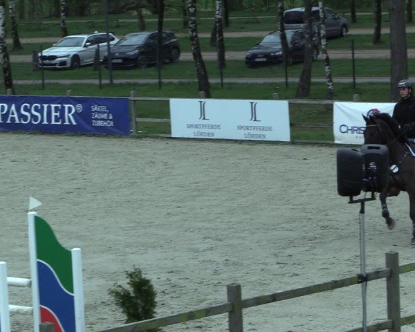 Reitturnier Westergellersen 2025