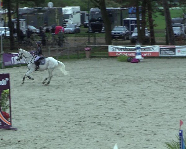 Reitturnier Westergellersen 2025