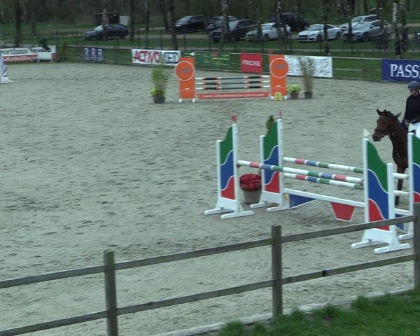 Reitturnier Westergellersen 2025