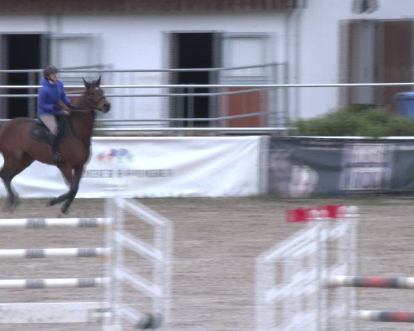 Reitturnier Margarethen am Moos 2025