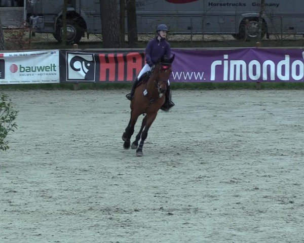 Reitturnier Westergellersen 2025