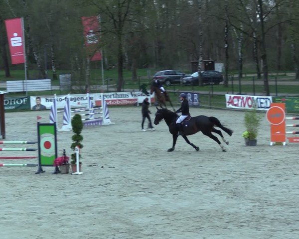 Reitturnier Westergellersen 2025