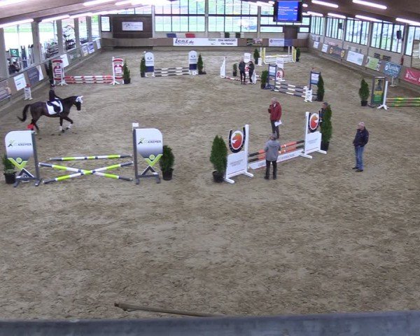 Reitturnier Oelde 2025