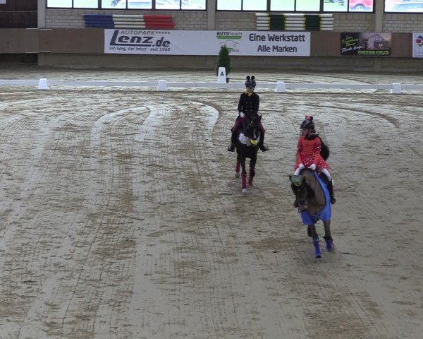 Reitturnier Oelde 2025