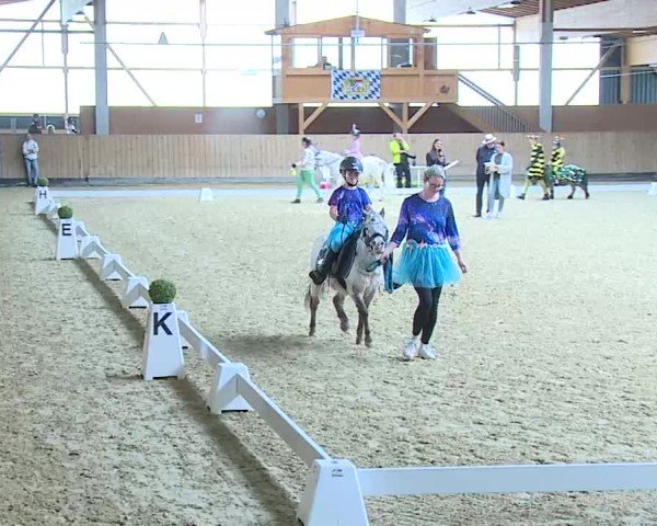 Reitturnier Grafenrheinfeld/Ufr. 2025