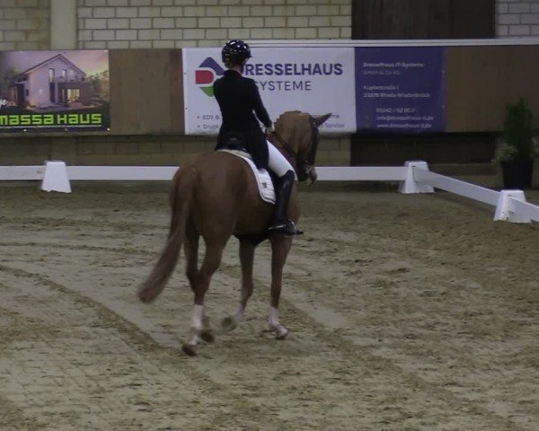 Reitturnier Oelde 2025