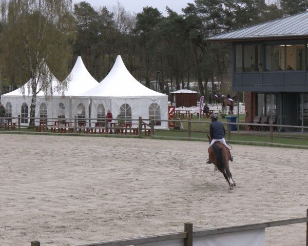 Reitturnier Westergellersen 2025