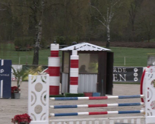 Reitturnier Westergellersen 2025