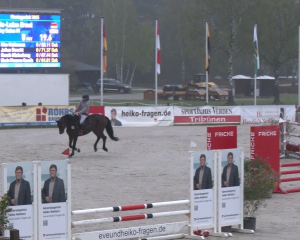 Reitturnier Westergellersen 2025