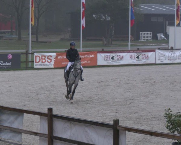 Reitturnier Westergellersen 2025