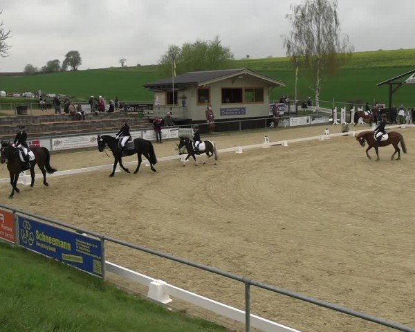 Reitturnier Duderstadt 2025