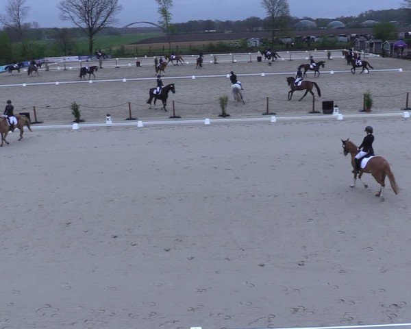 Reitturnier Scharnebeck 2025