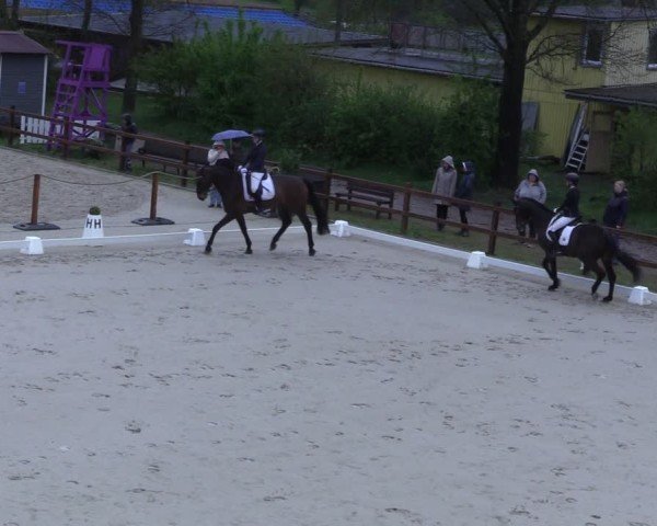 Reitturnier Scharnebeck 2025