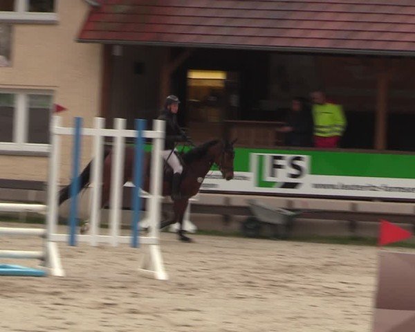 Reitturnier Langenleuba - Oberhain 2025
