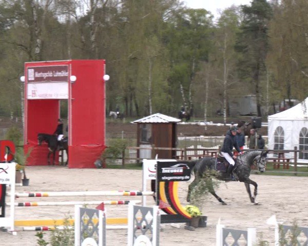 Reitturnier Westergellersen 2025