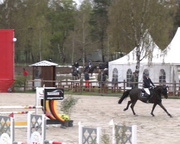 Reitturnier Westergellersen 2025