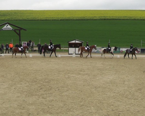 Reitturnier Duderstadt 2025