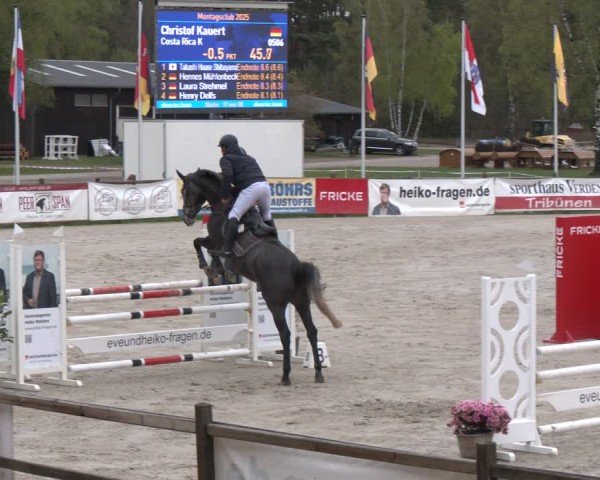 Reitturnier Westergellersen 2025
