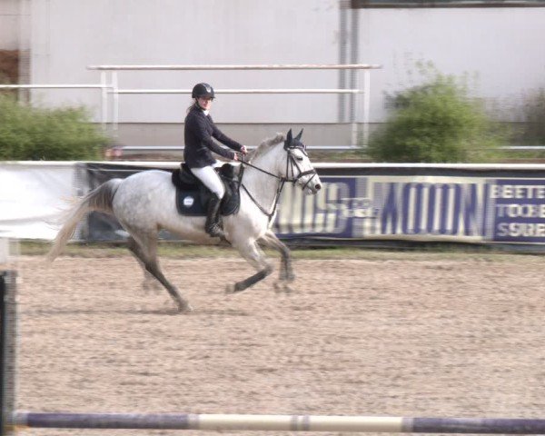 Reitturnier Margarethen am Moos 2025