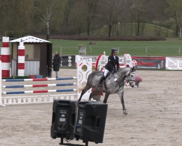 Reitturnier Westergellersen 2025