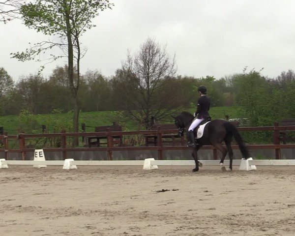 Reitturnier Scharnebeck 2025