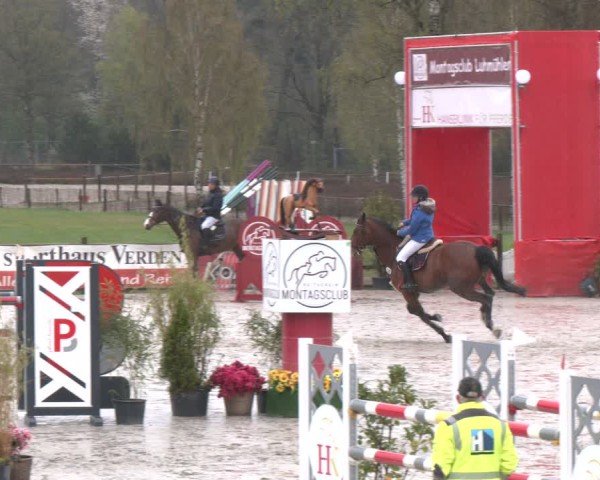 Reitturnier Westergellersen 2025