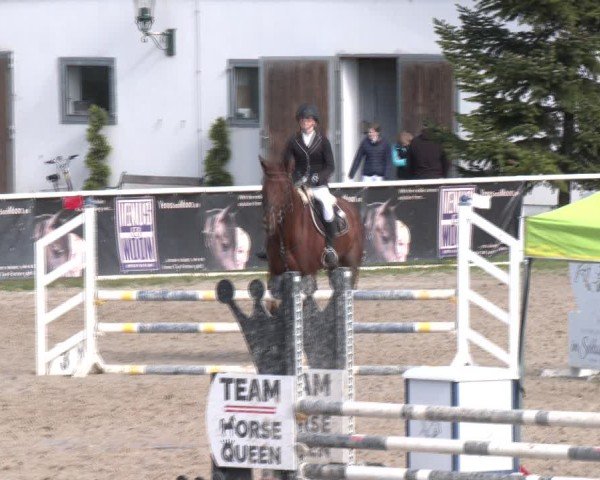 Reitturnier Margarethen am Moos 2025