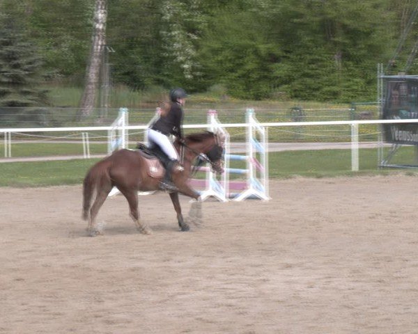 Reitturnier Margarethen am Moos 2025