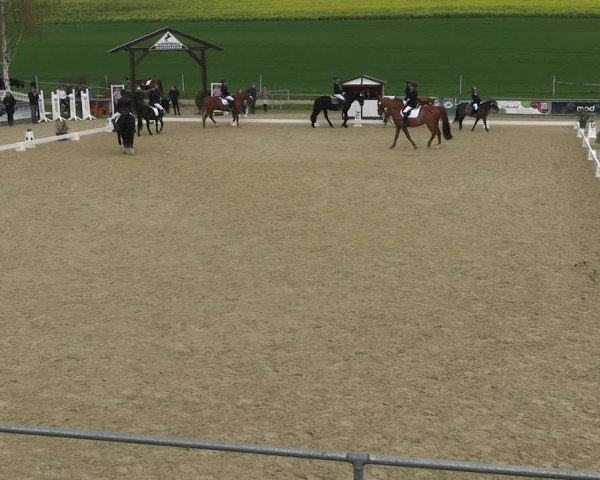 Reitturnier Duderstadt 2025