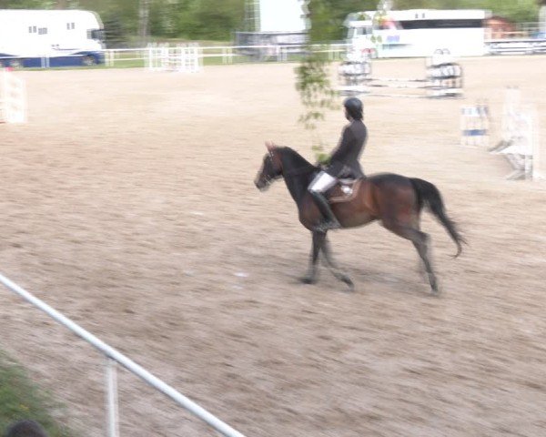 Reitturnier Margarethen am Moos 2025