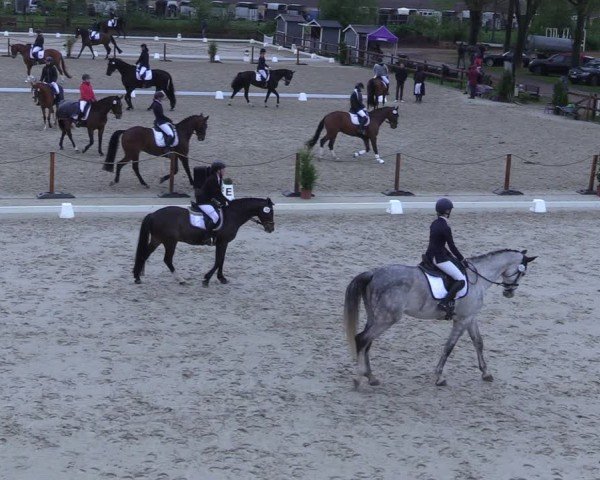 Reitturnier Scharnebeck 2025