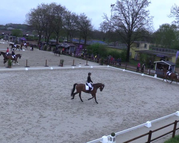 Reitturnier Scharnebeck 2025
