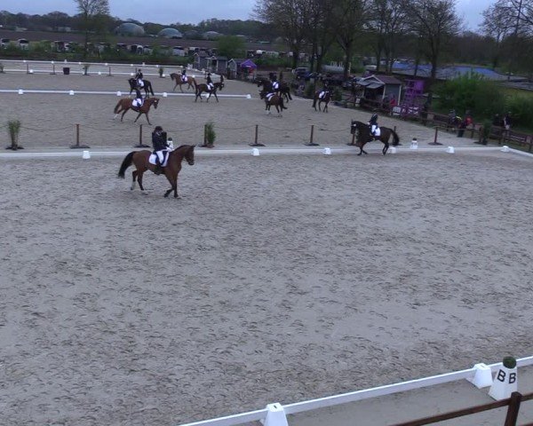 Reitturnier Scharnebeck 2025