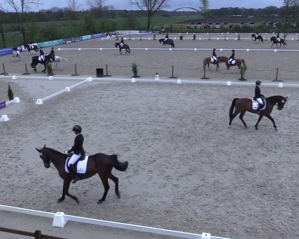 Reitturnier Scharnebeck 2025