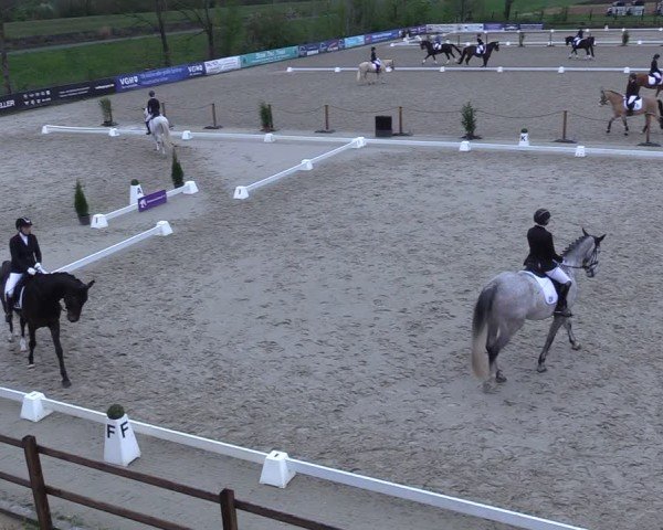 Reitturnier Scharnebeck 2025