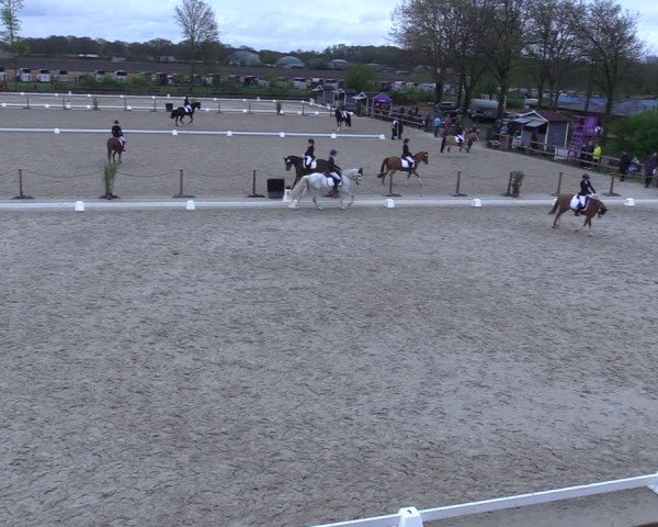Reitturnier Scharnebeck 2025