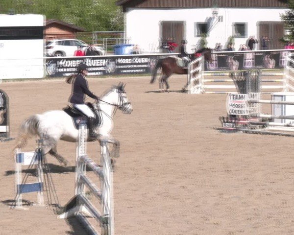 Reitturnier Margarethen am Moos 2025