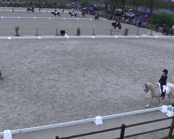 Reitturnier Scharnebeck 2025