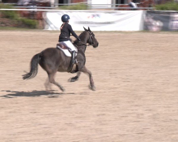 Reitturnier Margarethen am Moos 2025