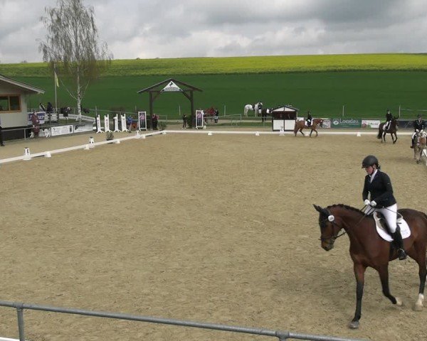 Reitturnier Duderstadt 2025