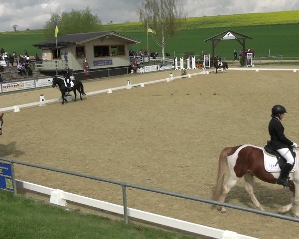 Reitturnier Duderstadt 2025