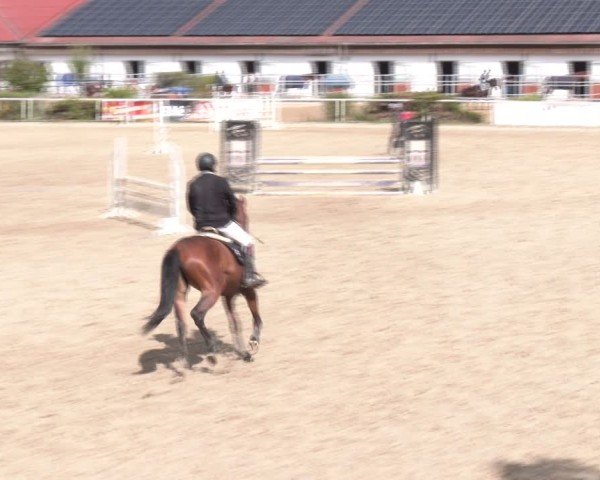 Reitturnier Margarethen am Moos 2025