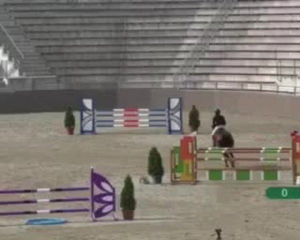Video of Calox